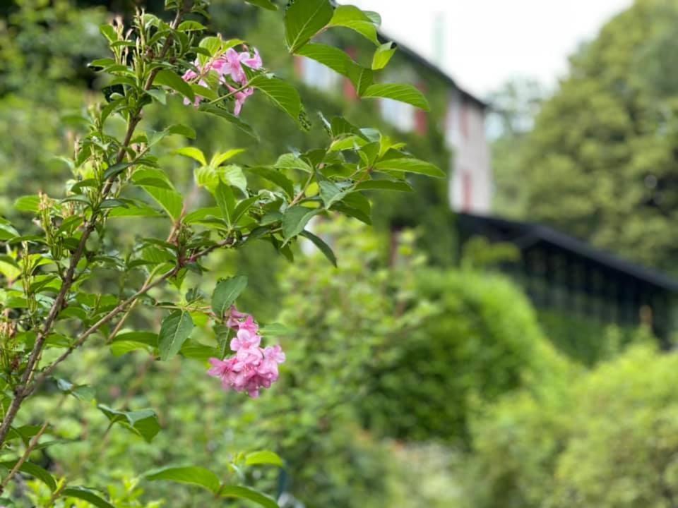 Les Grillons Du Morvan Montsauche-les-Settons Buitenkant foto