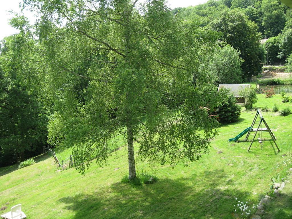 Les Grillons Du Morvan Montsauche-les-Settons Buitenkant foto
